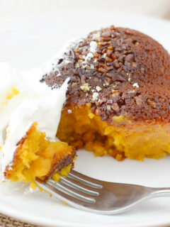 Gluten Free Pumpkin Pie Cake Pic