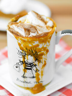 Hot Pumpkin Pie Cocktail Picture