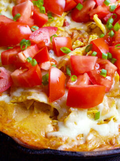 Nacho Chicken Dip Photo