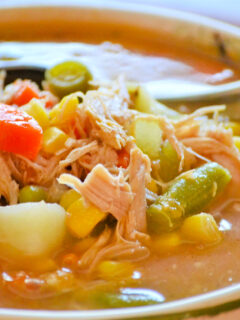 Turkey Vegetable Soup Photo