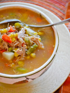 Turkey Vegetable Soup Picture