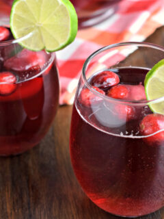 Cranberry Ginger Ale Punch Photo