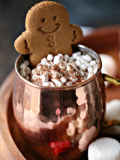 Gingerbread Hot Chocolate Picture
