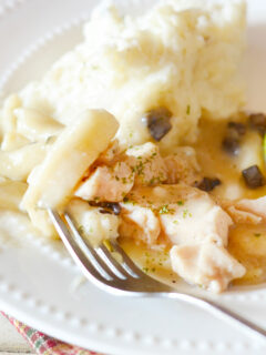 Gluten Free Creamy Chicken Noodles Image