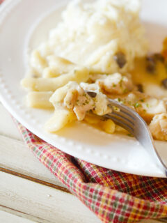 Gluten Free Creamy Chicken Noodles Pic