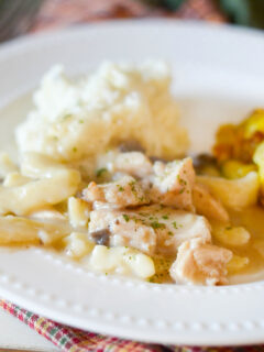 Gluten Free Creamy Chicken Noodles Picture