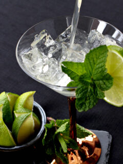 Moscow Mule Martini Picture