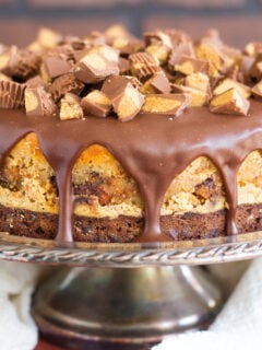 Peanut Butter Cup Brownie Cheesecake Photo