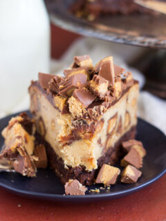 Peanut Butter Cup Brownie Cheesecake Pic