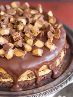Peanut Butter Cup Brownie Cheesecake Picture