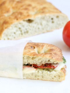 Roasted Tomato Mozzarella Panini Photo