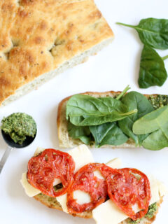 Roasted Tomato Mozzarella Panini Picture