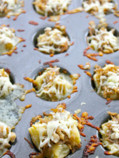 BBQ Shredded Pork Cups with Cheese Picture