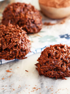 Chocolate Coconut Macaroons Photo