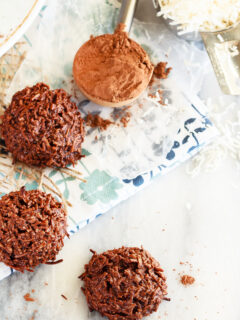 Chocolate Coconut Macaroons Picture