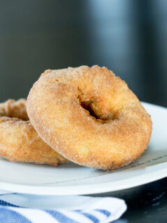 Mashed Potato Doughnuts Picture
