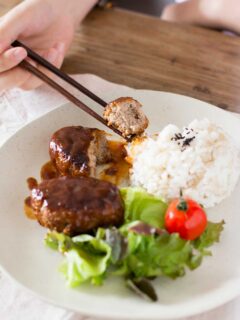 Japanese Tofu Hamburger Picture