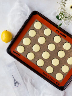 Rhubarb Lemon Macarons Picture
