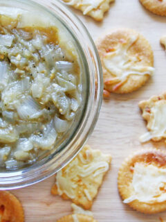 Caramelized Onion Eggplant Dip Photo