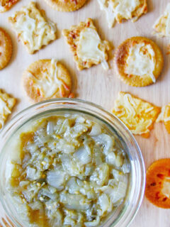 Caramelized Onion Eggplant Dip Pic