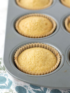 Lemon Olive Oil Cupcakes Pic