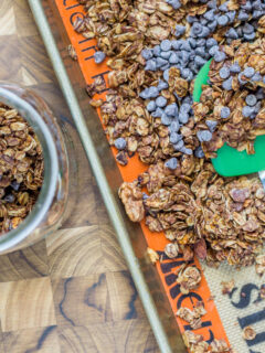 Mocha Java Granola Picture