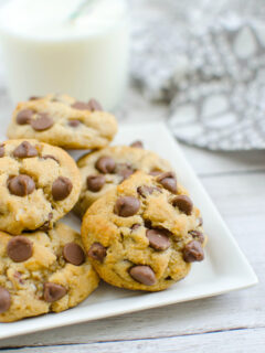 Paleo Chocolate Chip Coconut Cookies Image