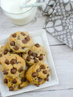 Paleo Chocolate Chip Coconut Cookies Picture