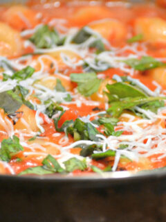 Tomato Basil Gnocchi Picture