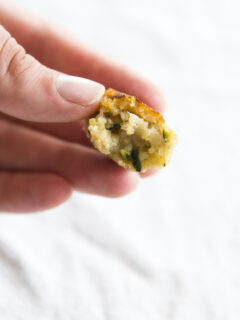 Zucchini Tater Tots Picture