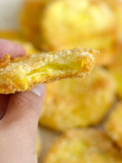 Gluten Free Crispy Squash Chips Photo