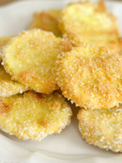Gluten Free Crispy Squash Chips Pic