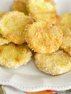 Gluten Free Crispy Squash Chips Picture