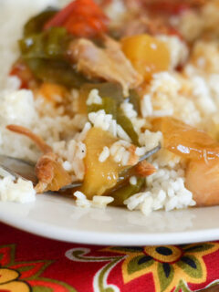 Gluten Free Slow Cooker Sweet and Sour Chicken Image