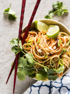 Thai Peanut Noodles with Spiralized Vegetables Pic