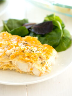 White Chicken Lasagna Pic