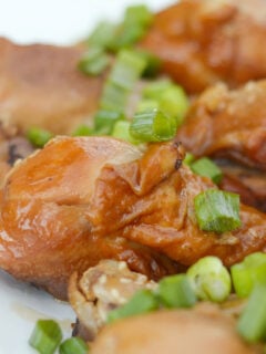 Gluten Free Instant Pot Teriyaki Chicken Drumsticks Photo