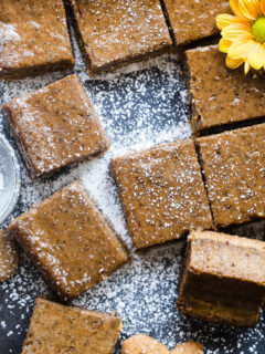 Gingerbread Coffee Vegan Cheesecake Bars Picture