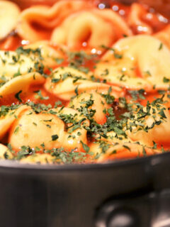 Tomato Tortellini Soup Picture