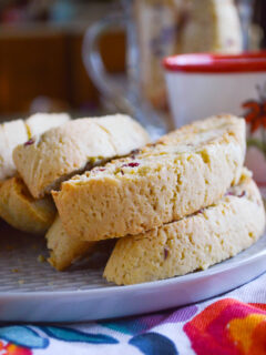 Cranberry Orange Biscotti Pic