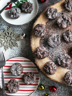 Double Chocolate Avocado Peanut Butter Brownie Bites Pic