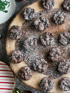 Double Chocolate Avocado Peanut Butter Brownie Bites Picture