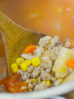 Gluten Free Instant Pot Vegetable Soup Image