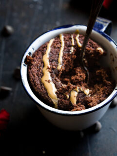 Coconut Flour Chocolate Paleo Mug Cake Image