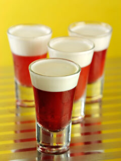 How Long do Jello Shots Take to Set Image