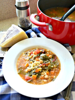 Garbanzo Bean Vegetable Soup with Pearled Couscous Picture