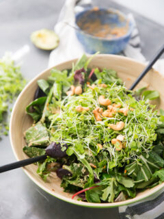 Thai Cashew Chicken Salad Image