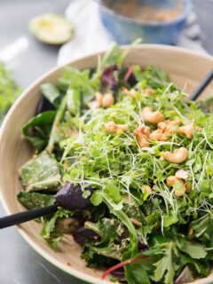 Thai Cashew Chicken Salad Pic