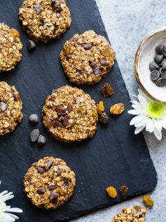 Vegan Gluten Free Oatmeal No Bake Cookies Pic