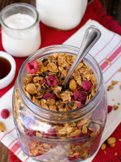 Raspberry Chocolate Chip Granola Image